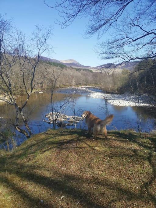Riverside Lodge In Killiecrankie Bridge of Tilt Exterior photo
